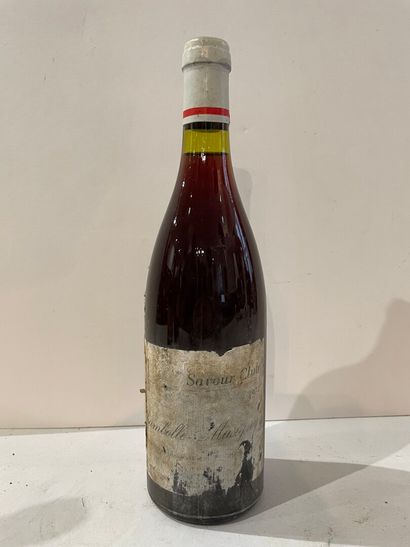 1 bottle CHAMBOLLE-MUSIGNY 1974 - SAVOUR...