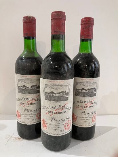 null 3 bouteilles Château GRAND PUY LACOSTE - 5e Gcc Pauillac 1974

Etiquette légèrement...
