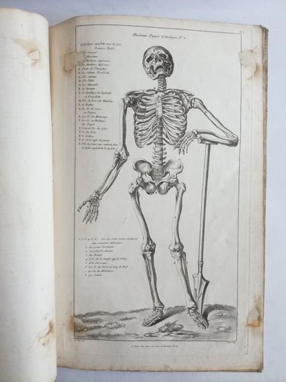 TORTEBAT (François). Nouveau traité d'anatomie. Accommodée aux arts de peinture et...