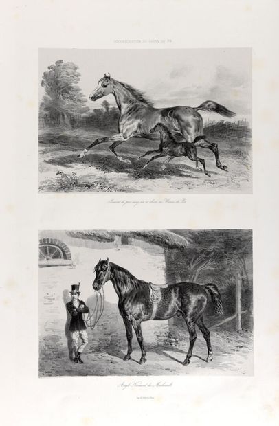 GAYOT (Eugène). Administration des haras. Atlas statistique de la production des chevaux en France.