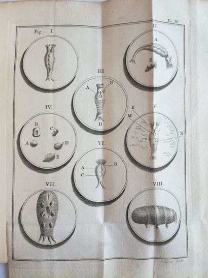 [Mathématiques. Sciences]. Ensemble de 10 ouvrages parus entre 1776 et 1813, brochés,...
