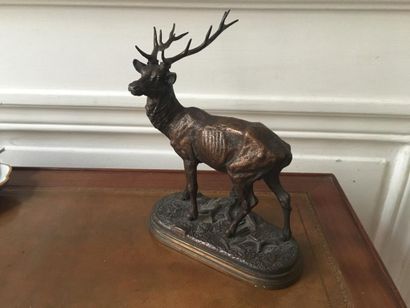 Alfred DUBUCAND (1828-1894). Cerf en bronze Alfred DUBUCAND (1828-1894).


Stag listening.


Bronze...