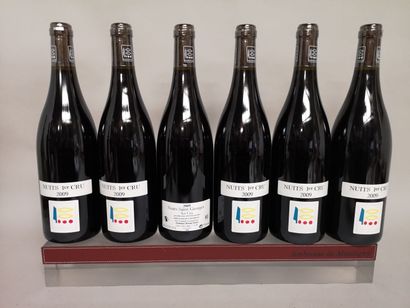 6 bottles NUITS SAINT GEORGES 1er Cru - PRIORÉ...