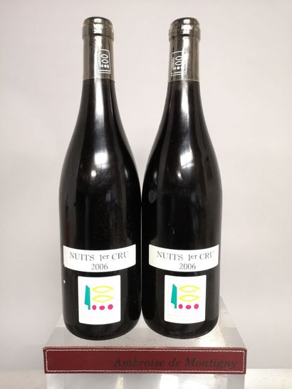 2 bottles NUITS SAINT GEORGES 1er Cru - PRIEURÉ...