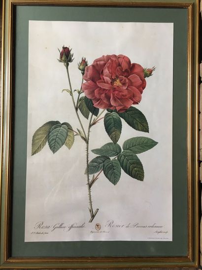 null Lot of six pieces including four framed with an original lithograph 30 x 22...