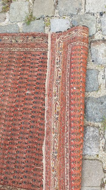 null Lot of three carpets

H. 183, L. 142 cm

H. 146, L. 112 cm

H. 116, L. 76 c...