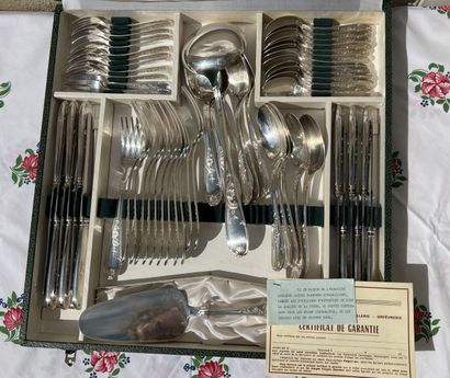Silver plated metal household set 

Foliage...