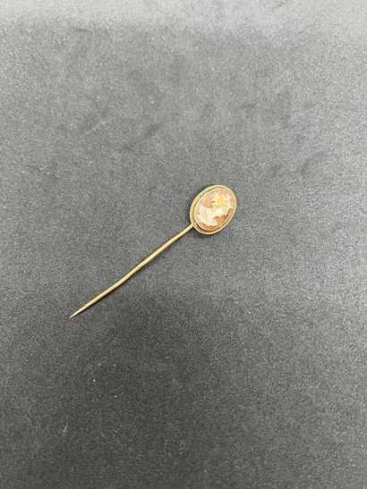 18K rose gold 750‰ pin whose head is adorned...