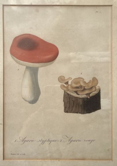 null MANNETTE de 11 pièces encadrées, gravures et lithographies de couleur (Vue de...