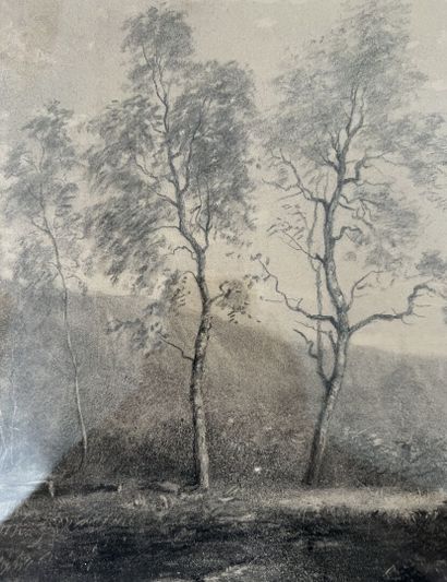 null École française vers 1860

Paysage aux arbres. 

Mine de plomb. 

26 x 42 c...