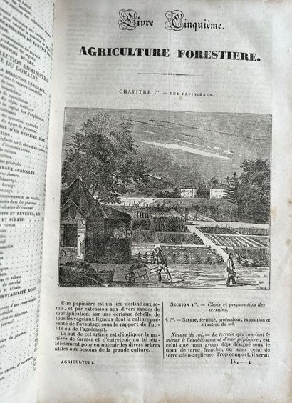 null Maison rustique du XIXe

Encyclopédie d'Agriculture pratique

In-quarto, quatre...