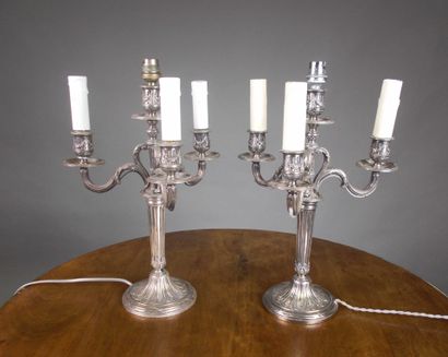 Pair of candelabras with three arms of light...