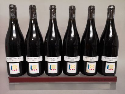 null 6 bottles NUITS SAINT GEORGES 1er Cru - PRIEURÉ ROCH 2015 1 label and back label...