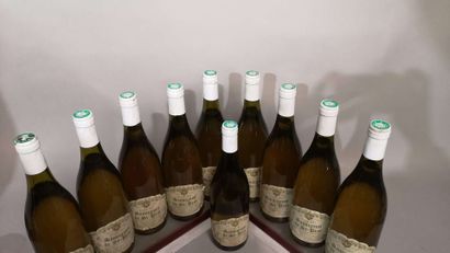 null 10 bottles SAUVIGNON de SAINT BRIS - Domaine SORIN de France 1997 Labels slightly...