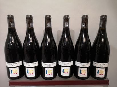 null 6 bouteilles NUITS St. GEORGES 1er cru - Domaine PRIEURE ROCH 2015