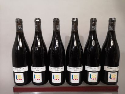 null 6 bottles NUITS St. GEORGES 1er cru - Domaine PRIEURE ROCH 2014