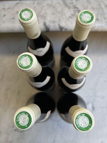 null 6 bouteilles SANTENAY 1er cru "Clos des Mouches" - Francoise et Denis CLAIR...