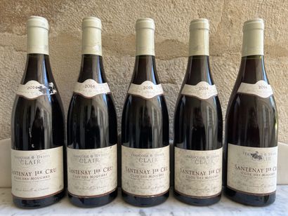 null 5 bottles SANTENAY 1er cru "Clos des Mouches" - DOMAINE Francoise et Denis CLAIR...