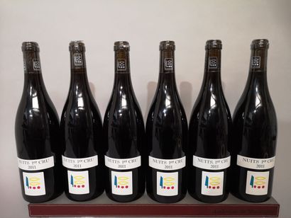 null 6 bottles NUITS St. GEORGES 1er cru - Domaine PRIEURE ROCH 2011