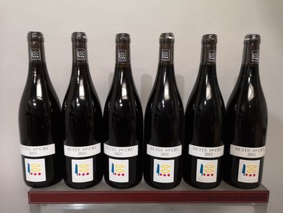 null 6 bottles NUITS St. GEORGES 1er cru - Domaine PRIEURE ROCH 2015