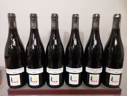 null 6 bouteilles NUITS St. GEORGES 1er cru Vieilles Vignes - Domaine PRIEURE ROCH...
