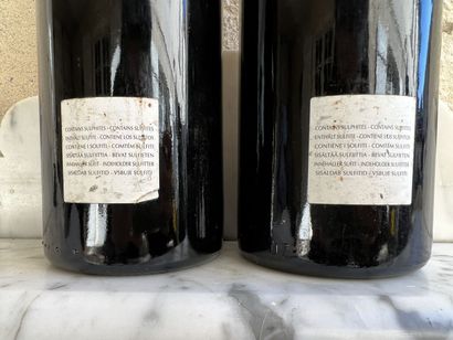 null 2 bouteilles NUITS St. GEORGES "Vieilles vignes" - Alain MICHELOT, 2004

Etiquettes...