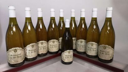 null 10 bouteilles SAUVIGNON de SAINT BRIS - Domaine SORIN de France 1997 Étiquettes...