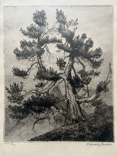 null Régnault Sarasin (1886-1943) 
Arbre
Eau forte, signée et titrée.
28 x 23 cm

Régnault...