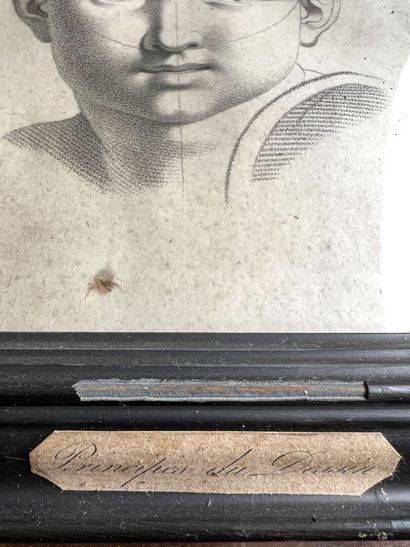 null Feuille d'étude, XVIIIe 
Portrait de jeune enfant 
Mine de plomb.
19 x 14 c...