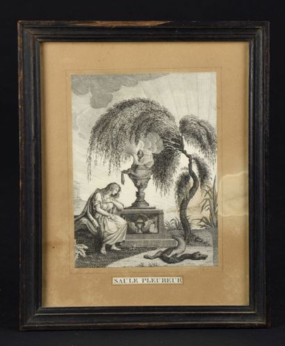 null Seditious engraving called the Weeping Willow representing Louis XVI, Marie-Antoinette...