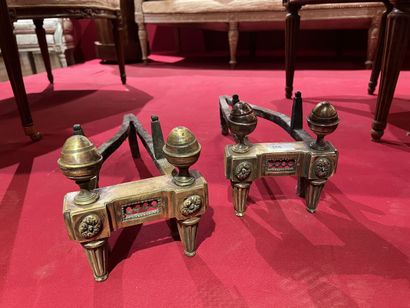 Pair of bronze and steel andirons, late Louis...