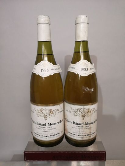 null 2 bouteilles CRIOTS BATARD MONTRACHET Grand cru - Joseph BELLAND 1985	
Etiquettes...