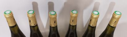 null 6 bouteilles MUSACADET Sèvre et Maine "Sur Lie" - Château de L'AULNAYE ( Pierre...