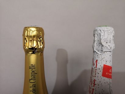 null 2 magnums CHAMPAGNE Years 1970 - 1980 FOR SALE AS IS: 1 MUMM Cordon Rouge and...