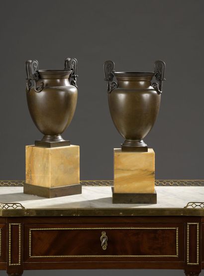 Paire de vases cratère en bronze patiné,...