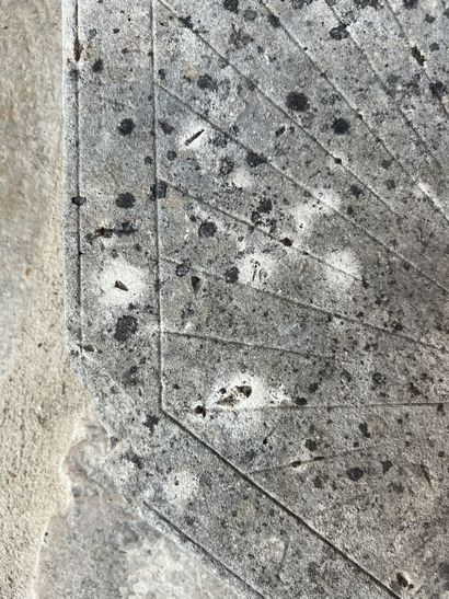 null Cadran solaire en pierre de Bourgogne, fin XVIIIe (?)
D. 37 cm

Manque le gnomon,...