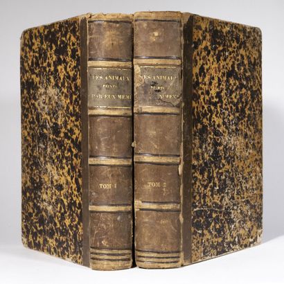 4 volumes. GRANDVILLE. STAHL (-P.-J.) [Dir.]. Scènes de la vie privée et publique...