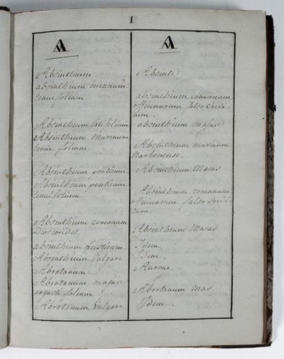 [Manuscrit]. [Botanique]. [Franc-maçonnerie]. Manuscrit du XVIIIe siècle, contenant les noms latins de nombreuses plantes, et en regard leur équivalent en français.