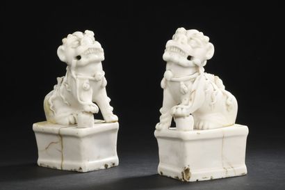 null PAIR OF FO DOGS in white CHINA porcelain
CHINA, Kangxi period (1662-1722)
Depicted...