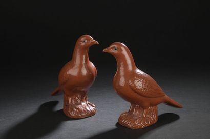 null PAIRE DE PIGEONS en porcelaine émaillée monochrome corail
CHINE, XIXe siècle
Représentés...