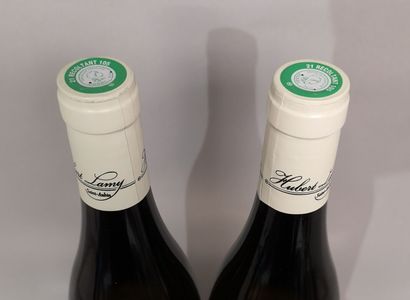 null * 2 bouteilles SAINT AUBIN 1er Cru "Derrière chez Edouard" - Hubert LAMY 20...