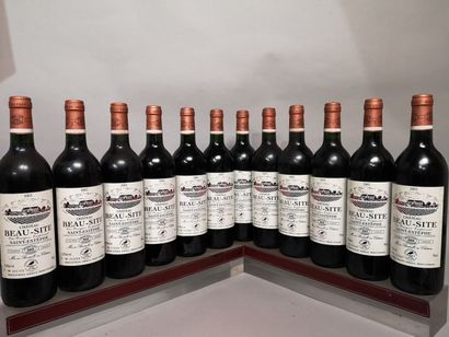 12 bouteilles Château BEAU SITE - Saint Estèphe...