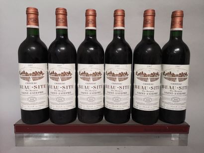 null 6 bouteilles Château BEAU SITE - Saint Estèphe 1989 Etiquettes légèrement t...