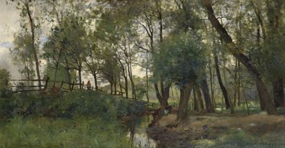 Emmanuel DAMOYE (1847-1916)
Ruisseau dans...