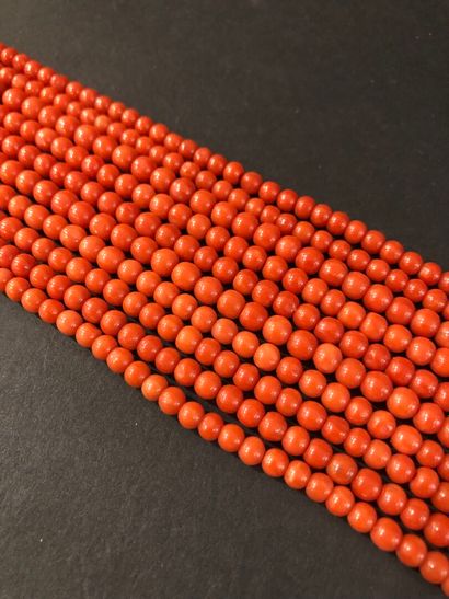 null Lot of 10 strands of red coral beads, fine quality.
L. 50 cm, D. 126.9 g
