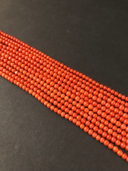 null Lot of 10 strands of red coral beads, fine quality.
L. 50 cm, D. 126.9 g