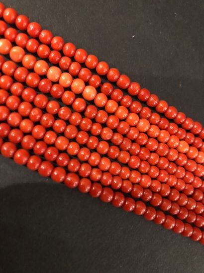 null Lot of 9 strands of red coral beads, fine quality.
L. 50 cm, D. 114.6 g