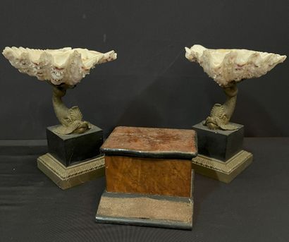 null PAIR OF ELEMENTS decorated with a dolphin supporting a clam shell and resting...