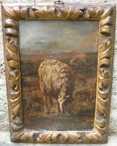 François SIMON (1818-1896) Mouton Huile sur carton. Trace de signature en bas à gauche....