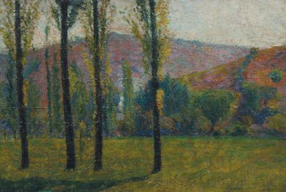 Henri MARTIN (1860-1943) Les peupliers Huile sur toile non signée. 30 x 44,5 cm